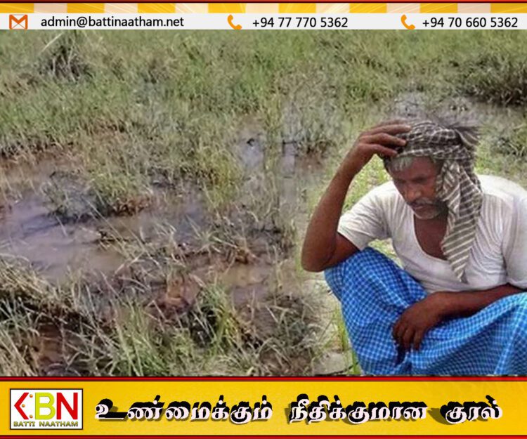 அனுர அரசிடம் திருகோணமலை விவசாயிகள் முன்வைத்துள்ள வேண்டுகோள்