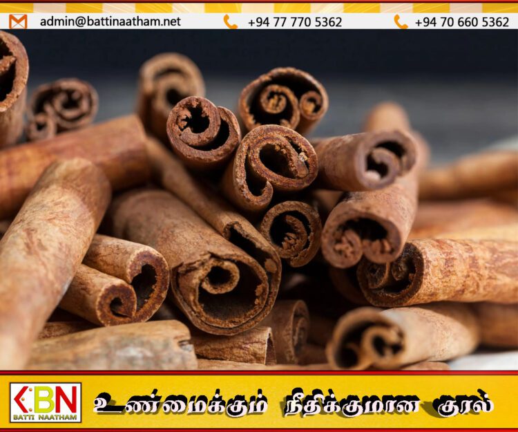 கறுவா பயிர் செய்கையை மேம்படுத்த அடுத்த வருடத்திலிருந்து நடைமுறைக்கு வரவுள்ள புதிய திட்டம்