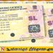 அதிகரித்துள்ள வாகன விபத்துக்கள்; சாரதி அனுமதிப்  பத்திரங்கள் தொடர்பில் கடுமையான  தீர்மானம்