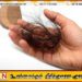 அழகுக்கலை நிலையத்துக்கு சென்ற பெண்; தலை முடி உதிர்ந்ததால் பொலிஸில் முறைப்பாடு