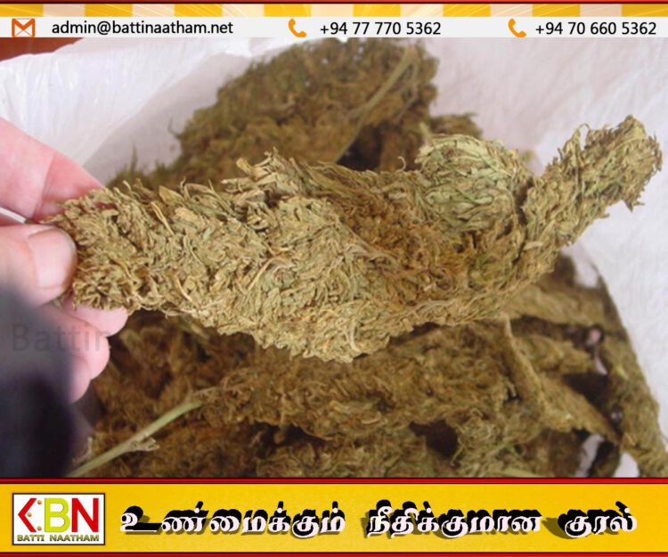 திருகோணமலையில் எட்டு கிலோ கேரள கஞ்சாவுடன் ஒருவர் கைது