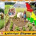 கிழக்கு மாகாண அபிவிருத்திக்காக 2,371 மில்லியன்