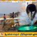 மீனவர்களுக்கு மண்ணெண்ணெய் மானியமாக 9,375 ரூபாய் வழங்க அனுமதி