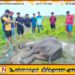 வாகநேரி வயல்வெளியில் நோய்வாய்பட்டு கிடந்த யானைக் குட்டி உயிரிழப்பு
