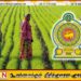விவசாயிகளுக்கான இழப்பீட்டுத் தொகையை ஒரு லட்சம் ரூபாவாக அதிகரிக்குமாறு கோரிக்கை