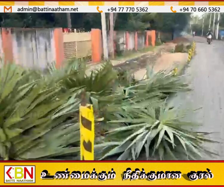பனையோலைகளுக்கு மேல் கற்களையிட்டு வீதி புனரமைக்கும் வட மாகாண வீதி அபிவிருத்தி திணைக்களம்!