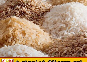 அரிசி விலையை நிர்ணயித்து வெளியானது வர்த்தமானி
