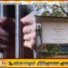 வாகரை பகுதியில் உள்நாட்டு துப்பாக்கியுடன் ஒருவர் கைது