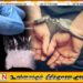 அம்பாறையில் ஐஸ்போதைப் பொருள் விற்பனை செய்த இளைஞன் கைது