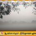 இன்றைய வானிலை தொடர்பான எதிர்வுகூறல்