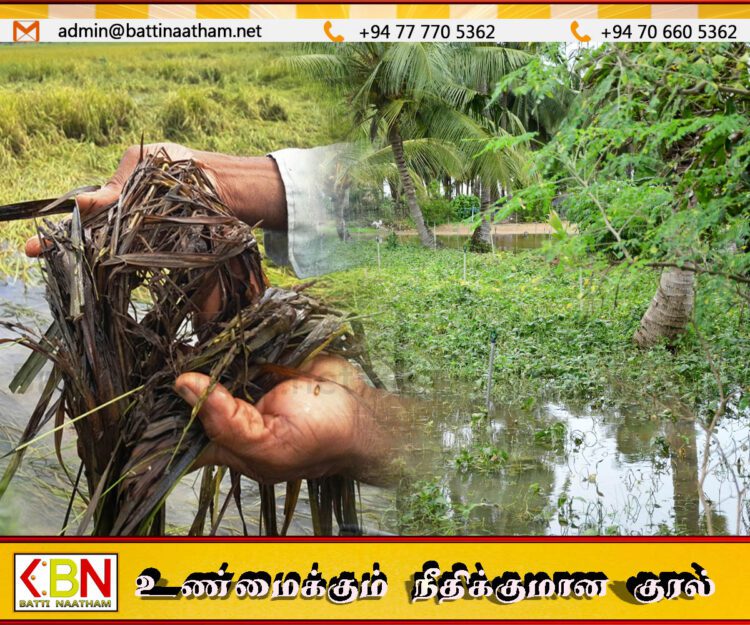 வெள்ளத்தால் பயிர்கள் சேதமான விவசாயிகளுக்கு ஹெக்டேருக்கு 100,000