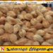 தெங்காய் நெருக்கடிக்கு தீர்வு; தென்னை விவசாயிகளுக்கு உர மானியம்