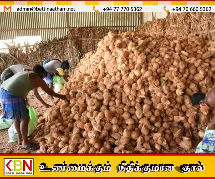 தேங்காய் ஏற்றுமதி மூலம் பெரும் இலாபம் ஈட்டும் வியாபாரிகள் மீது நடவடிக்கை எடுக்குமாறு கோரிக்கை