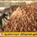 தேங்காய் ஏற்றுமதி மூலம் பெரும் இலாபம் ஈட்டும் வியாபாரிகள் மீது நடவடிக்கை எடுக்குமாறு கோரிக்கை