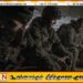 ரஷ்ய போருக்கு நிர்ப்பந்திக்கப்பட்ட யாழ் இளைஞன்; மறுக்கும் தூதரகம்
