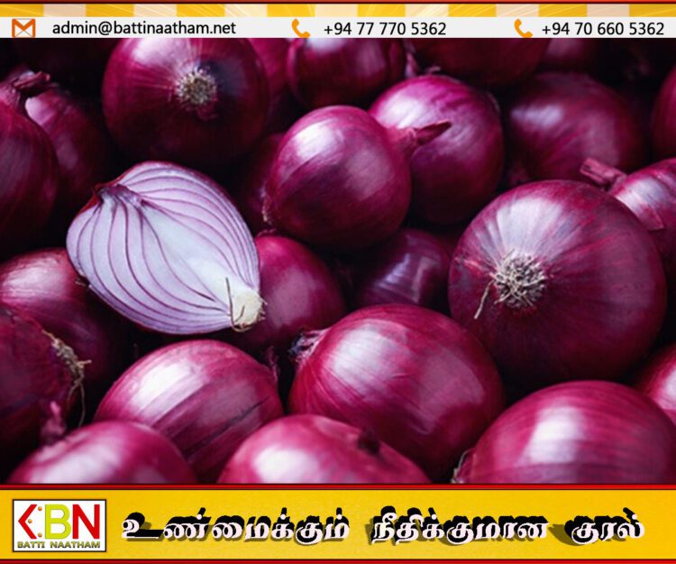 பெரிய வெங்காயத்தின் இறக்குமதி வரியை குறைக்க நடவடிக்கை