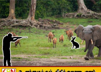 வில்பத்து தேசிய பூங்காவிற்குள் வனவிலங்கு வேட்டையாட முயன்றவர் கைது