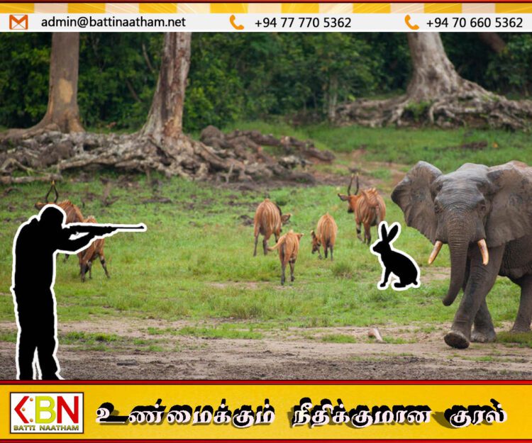 வில்பத்து தேசிய பூங்காவிற்குள் வனவிலங்கு வேட்டையாட முயன்றவர் கைது