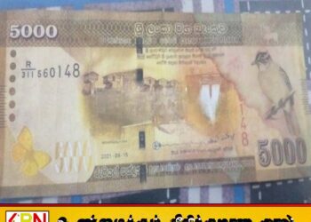 அடகு நகையை மீட்க 5000 ரூபா போலி நாணயத்தாள் கொண்டு சென்ற பெண் கைது; சம்மாந்துறையில் சம்பவம்