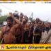 மாவடிவேம்பு ஸ்ரீ ஐயப்பசுவாமி ஆலய குருசாமி தலைமையிலான குழுவினர் சபரிமலைக்கு பயணம்