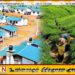 பெருந்தோட்ட மக்களுக்காக 4,350 புதிய வீடுகள் நிர்மாணிக்கப்படும்; சமந்த வித்யாரத்ன
