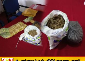 கிளிநொச்சியில் இருந்து வவுனியாவிற்கு கஞ்சா கடத்திய பெண் உட்பட இருவர் கைது