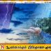 இன்றைய வானிலை அறிக்கை