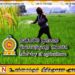 விவசாயிகள் விளைச்சலின் போது ஒரு பகுதியை அரசாங்கத்திற்கு வழங்க வேண்டும்; விவசாய அமைச்சர்
