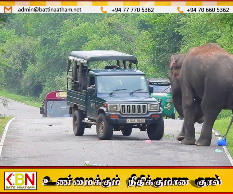யானையால் மூன்று நாட்களாக தடைபட்டுள்ள பாதை