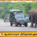 யானையால் மூன்று நாட்களாக தடைபட்டுள்ள பாதை