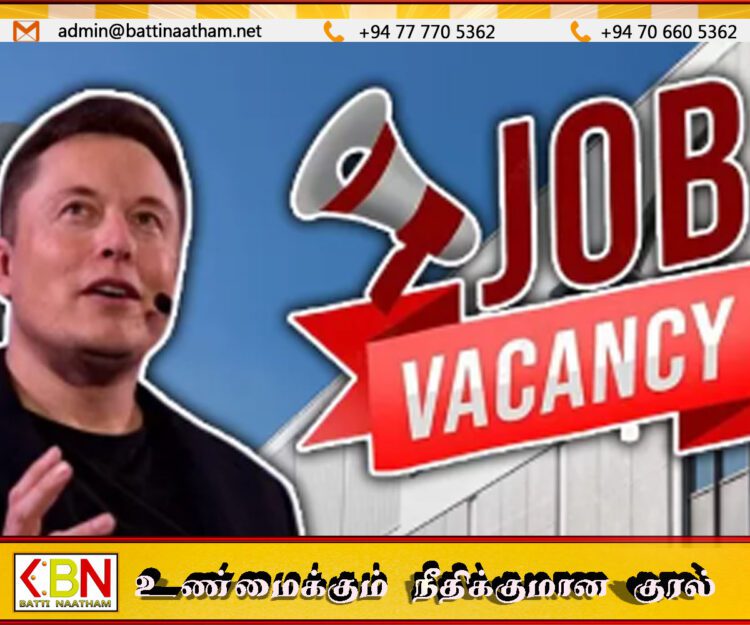 பணிபுரிய பட்டம் தேவையில்லை; வரவேற்பை பெற்றுள்ள எலான் மஸ்க்கின் அறிவிப்பு