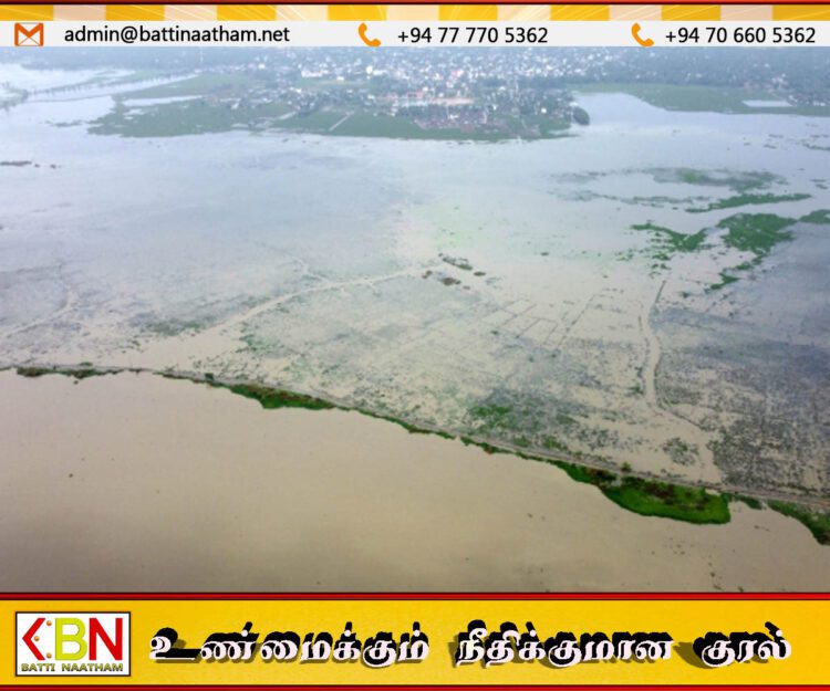 வெள்ளக்காடாக காட்சியளிக்கும் அம்பாறை; பாதிக்கப்பட்டுள்ள விவசாயிகள்