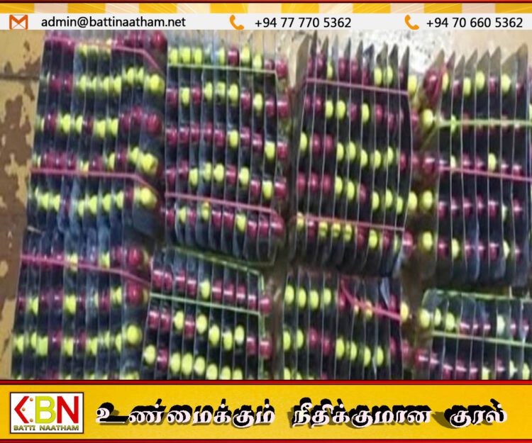 புத்தளம் பகுதியில் 800 போதை மாத்திரைகளுடன் இருவர் கைது