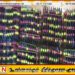 புத்தளம் பகுதியில் 800 போதை மாத்திரைகளுடன் இருவர் கைது