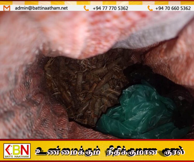 உப்புவெளி பொலிஸ் பிரிவில் 254 துப்பாக்கி ரவைகள் மீட்பு
