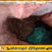 உப்புவெளி பொலிஸ் பிரிவில் 254 துப்பாக்கி ரவைகள் மீட்பு