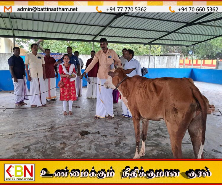 மட்டக்களப்பில் வசதி குறைந்த குடும்பங்களுக்கு பசு வழங்கும் நிகழ்வு