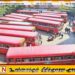 தைப்பொங்கலை முன்னிட்டு விசேட போக்குவரத்து