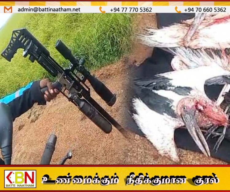 மட்டு பகுதியில் தடை செய்யப்பட்ட துப்பாக்கியால் பறவைகளை வேட்டையாடியவர்கள் கைது
