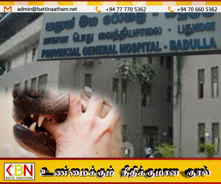 6,000க்கும் மேற்பட்ட நாய், பூனை கடியால் பாதிக்கப்பட்டவர்கள் பதுளை வைத்தியசாலையில் சிகிச்சை