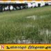 கல் ஓயா கரை இடிந்து விழுந்ததால் நீரில் மூழ்கிய வயல் நிலங்கள்