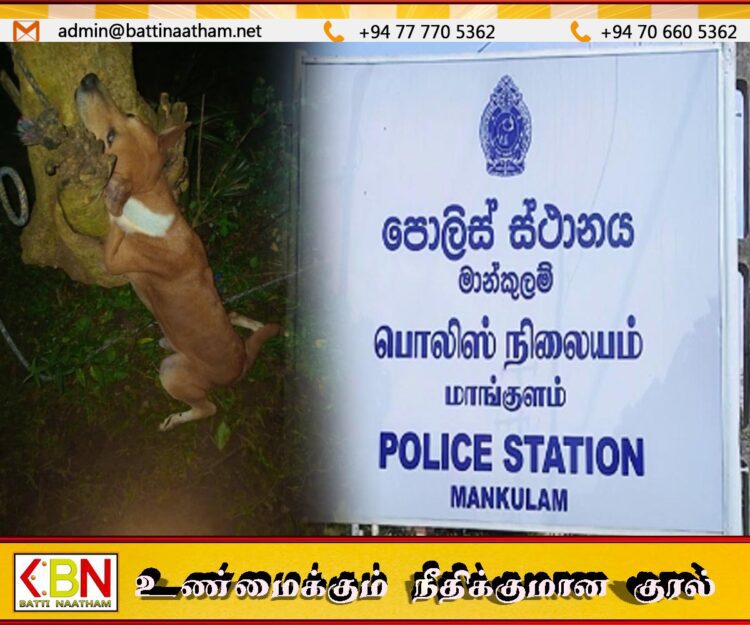 நாயை தூக்கிலிட்ட பெண்; விலங்குகள் வதைத் தடுப்புச் சட்டத்தின் கீழ்  கைது