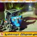 மட்டு ஆரையம்பதி பகுதியில் விபத்து