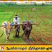 வழங்கப்படாதவர்களுக்கு இந்த வாரத்திற்குள் உர நிவாரணம்