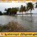 வெள்ளத்தால் சேதமடைந்த பயிர்களுக்கான இழப்பீடு மாத இறுதியில்