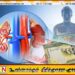சிறுநீரக நோயாளர்களுக்கான கொடுப்பனவு அதிகரிப்பு
