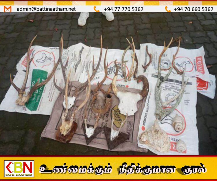 கொம்புகளுடன் பாடசாலை மாணவன் உட்பட நால்வர் கைது