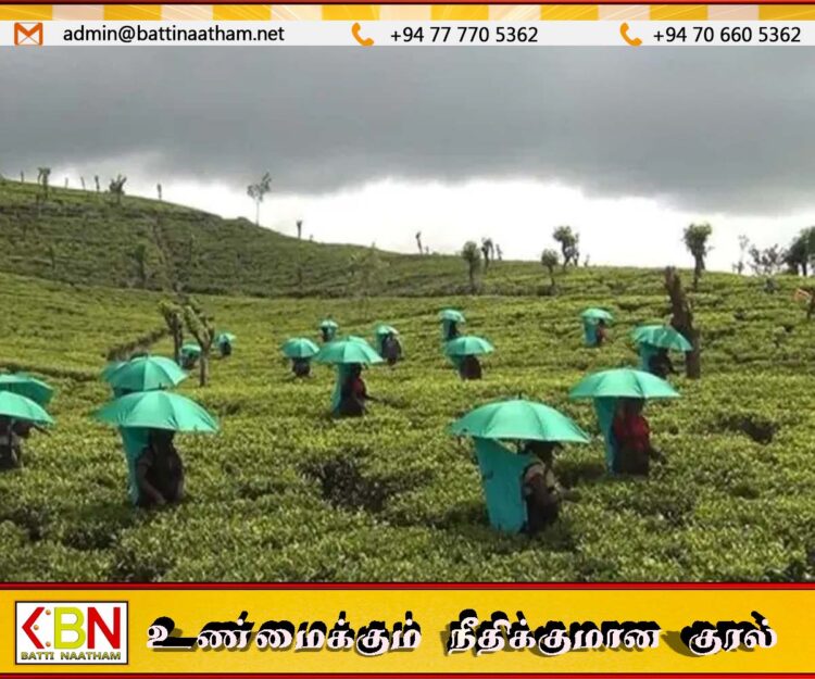 தோட்டத் தொழிலாளர்களுக்கு குடை அறிமுகம்