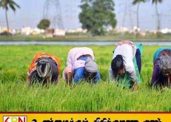 அரசிடம் விவசாயிகள் போராட்ட இயக்கம் முன்வைத்துள்ள கோரிக்கை