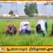 அரசிடம் விவசாயிகள் போராட்ட இயக்கம் முன்வைத்துள்ள கோரிக்கை